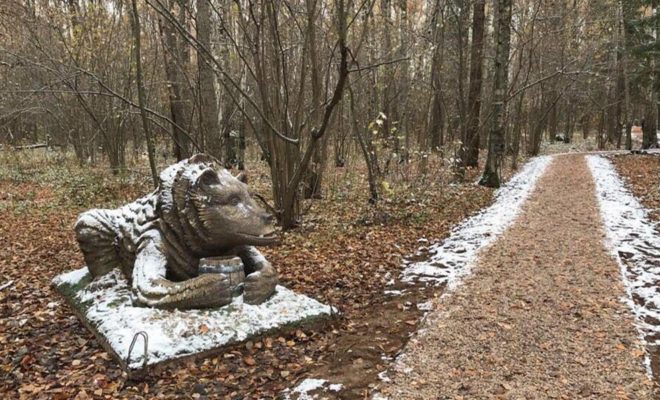 В Гурьяновском лесу Обнинска появился медведь