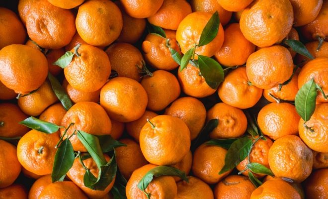 В Калужскую область ввезено более 440 тонн мандаринов