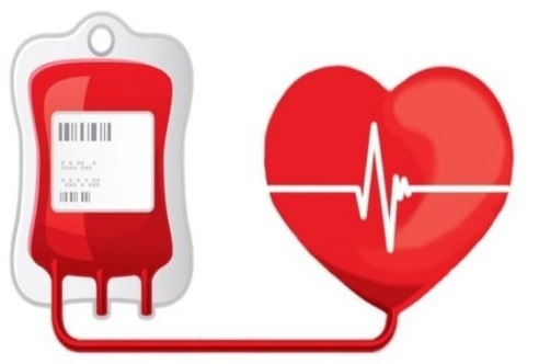 В Калуге приглашают желающих сдать кровь в донорской акции 27 января