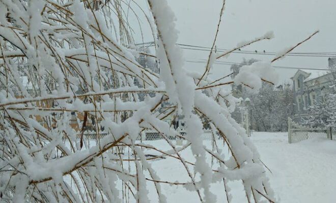 МЧС предупредило о сильном снегопаде и усилении ветра в Калужской области 7 января